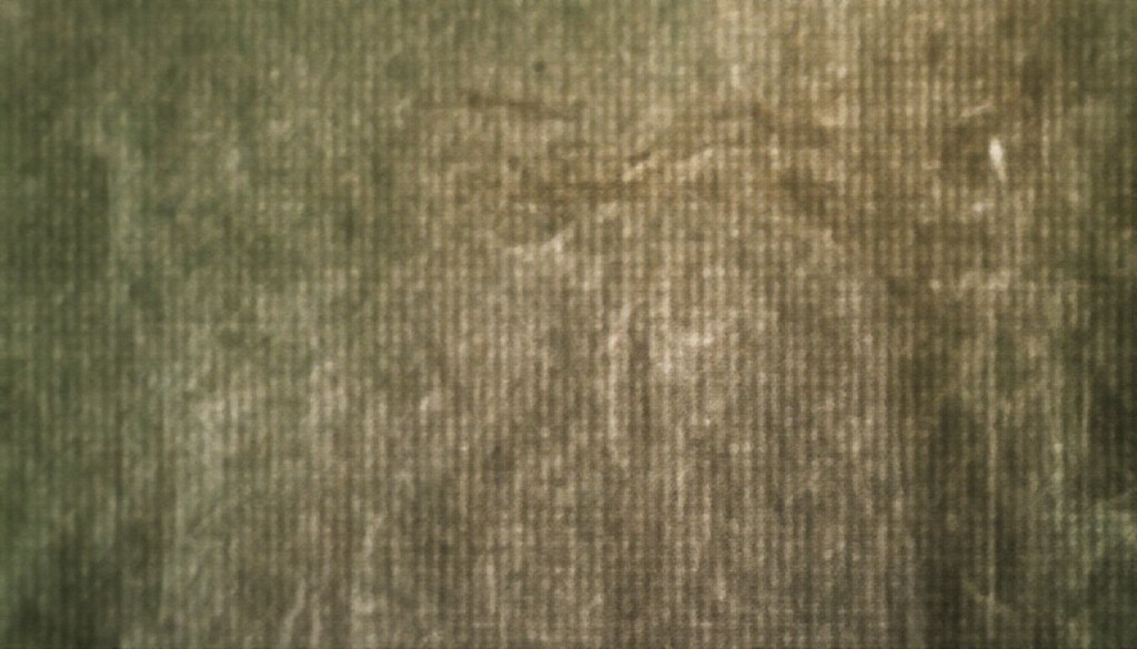 Tips for Evaluating Sustainable&nbsp;Clothing